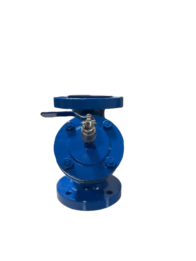 Proyecto Quitar fondo (1).webp