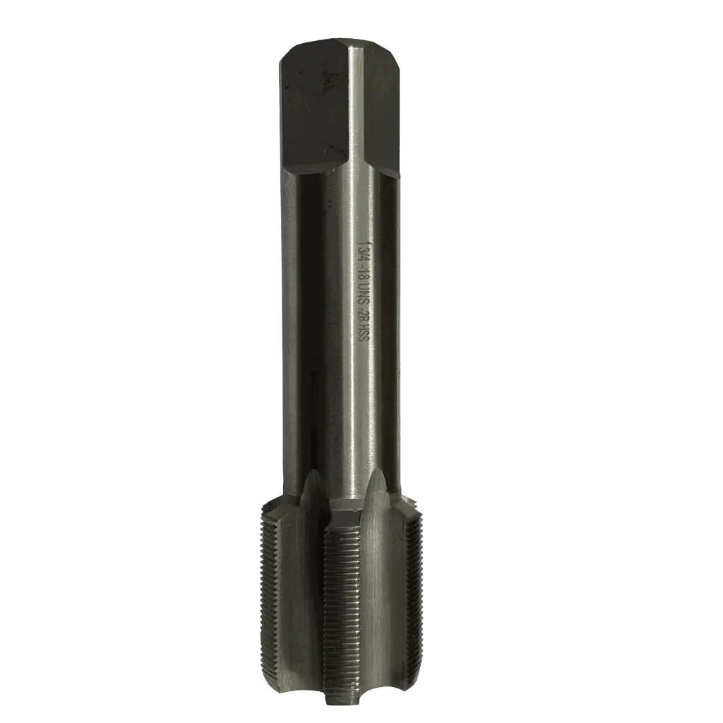 Sin título (12).webp